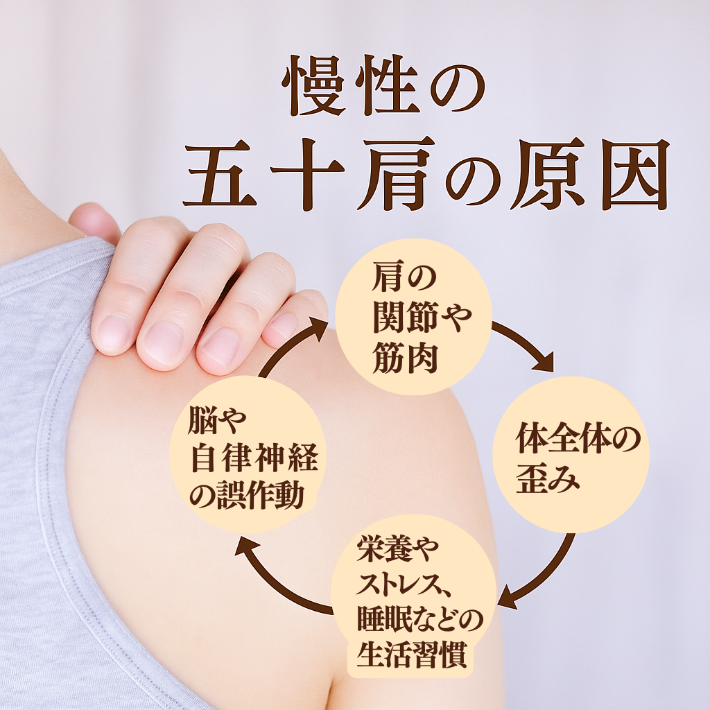 慢性の五十肩の原因を示す図解。肩の筋肉や関節、体全体の歪み、自律神経、生活習慣が関係している。